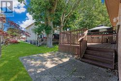 Low Maintenance Back Yard -