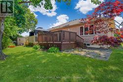 Low Maintenance Back Yard -