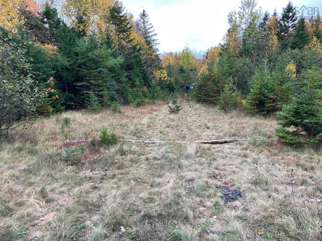 Pinevale Road, Dunmore, NS