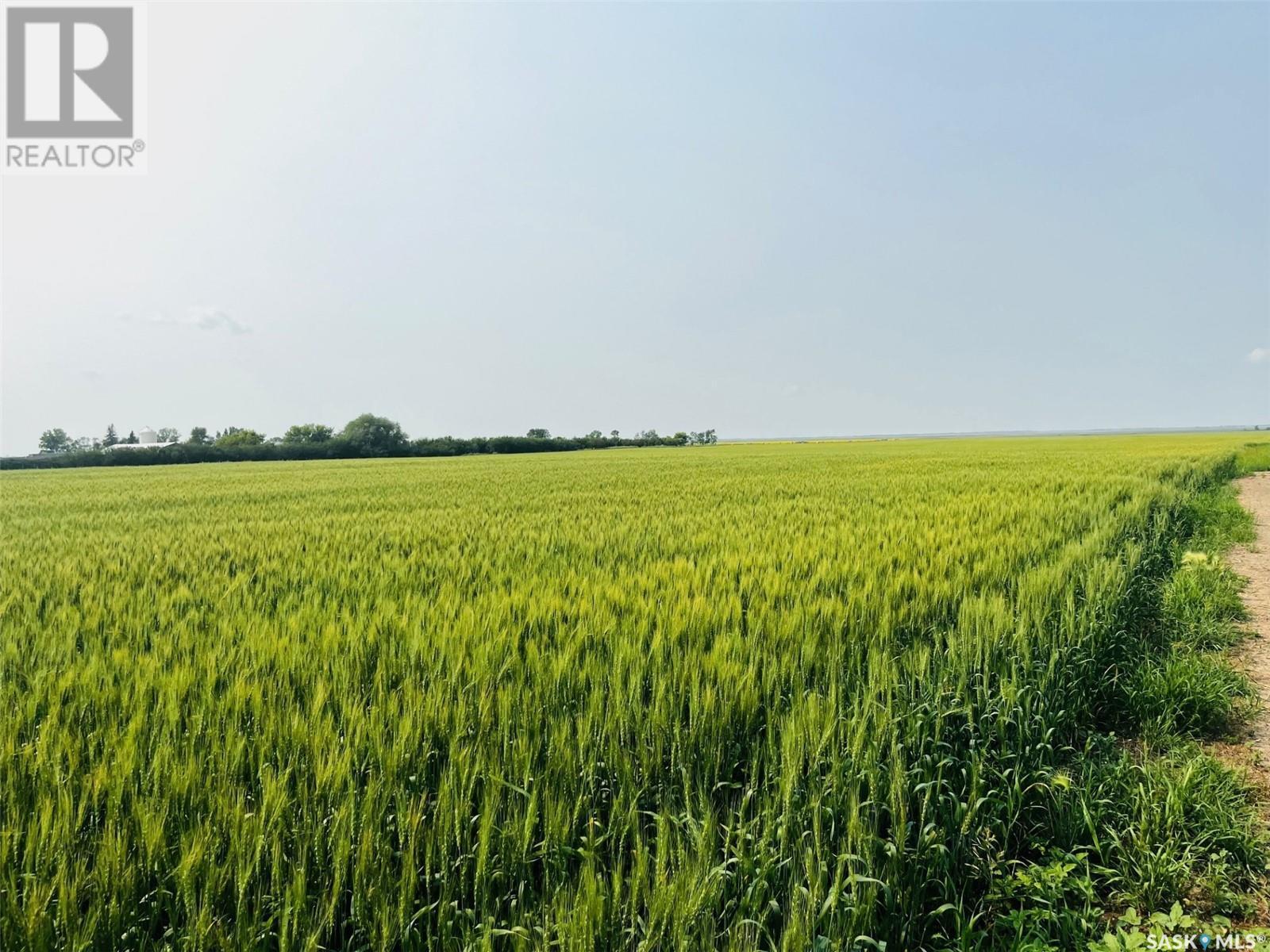 Congdon Farm, Enniskillen Rm No. 3, SK