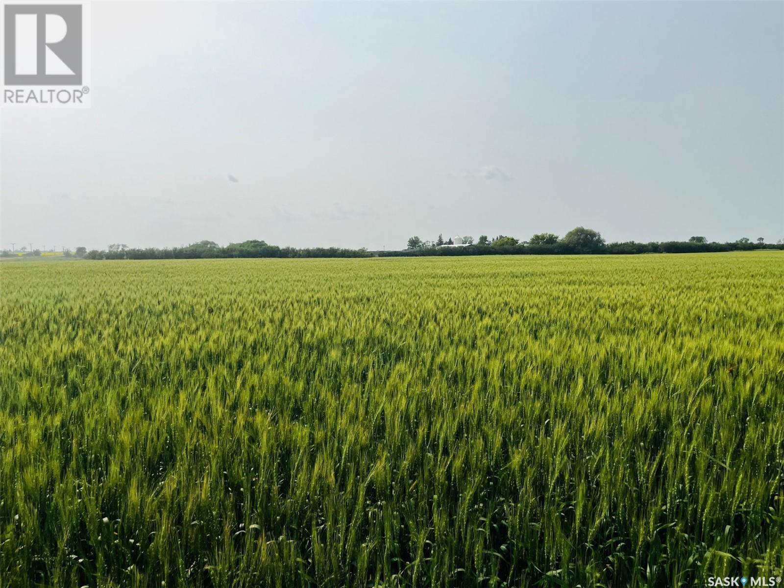 Congdon Farm, Enniskillen Rm No. 3, SK