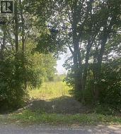 Lot 4 - View from road. -