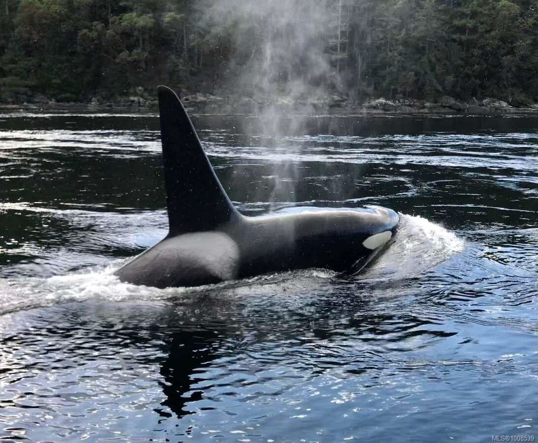 557 Weathers Way, Mudge Island, BC