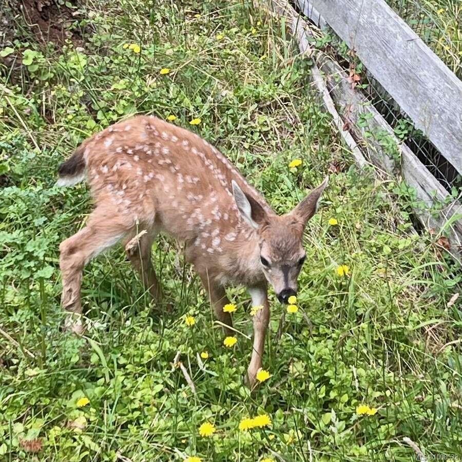 557 Weathers Way, Mudge Island, BC