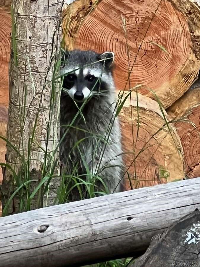 557 Weathers Way, Mudge Island, BC