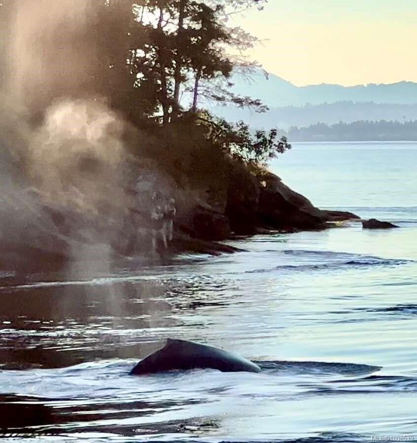 557 Weathers Way, Mudge Island, BC