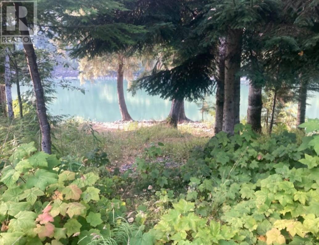 6191 Chimdemash Frontage Road, Terrace, BC - Outdoor With View