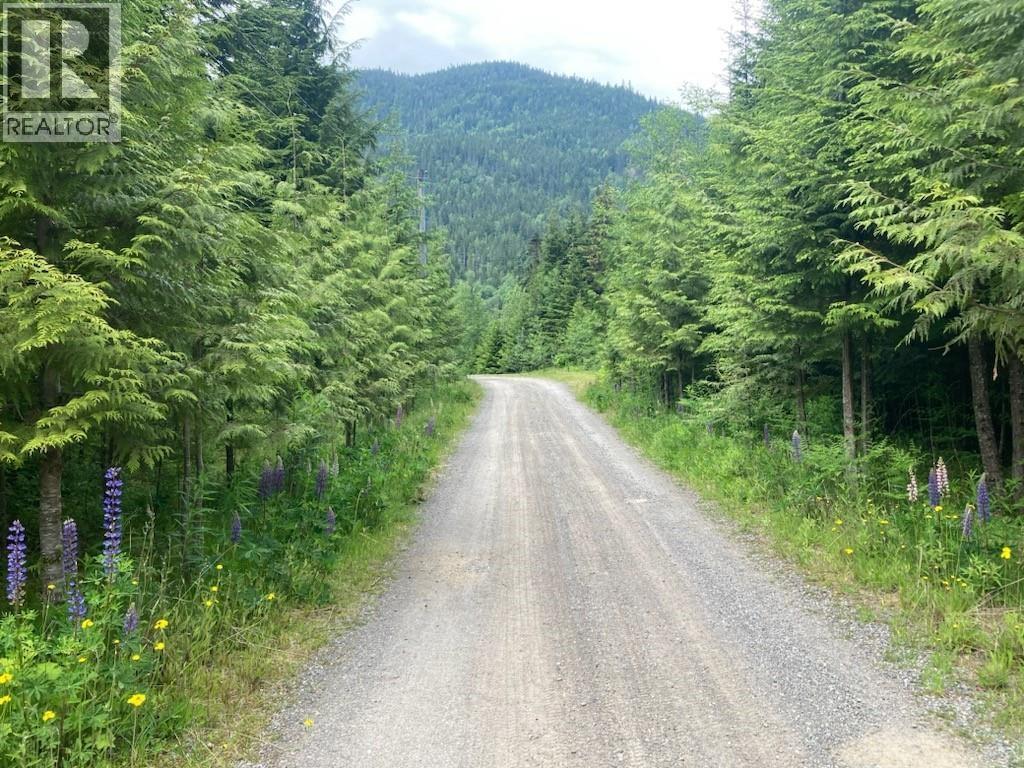 6191 Chimdemash Frontage Road, Terrace, BC - Outdoor With View