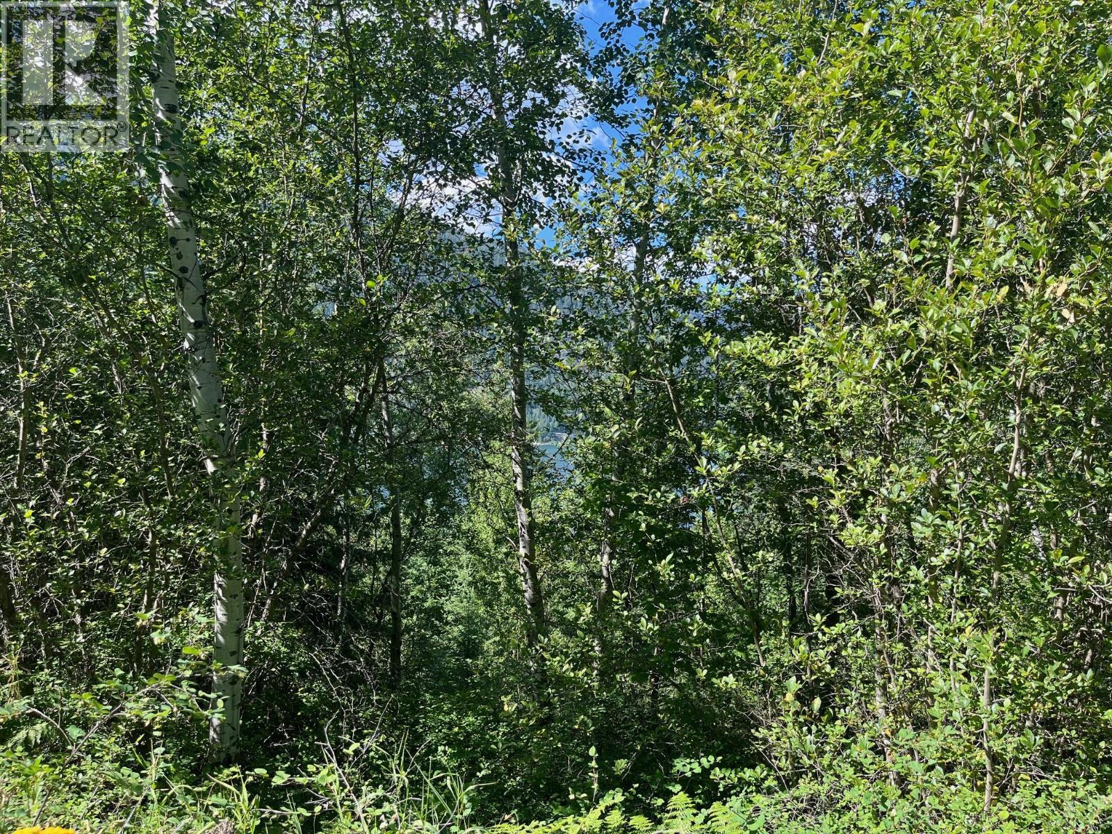 Lot B Government Street, Nelson, BC