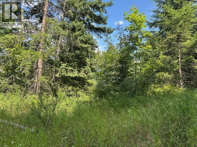 Lot B Government Street, Nelson, BC