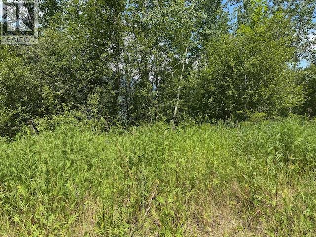 Lot B Government Street, Nelson, BC