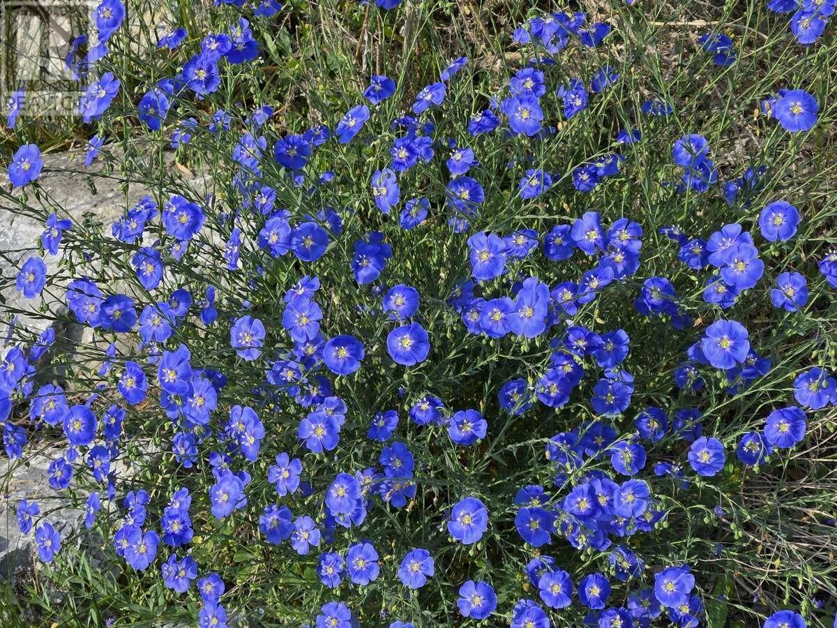 6074 Bella Vista Boulevard, Fairmont Hot Springs, BC