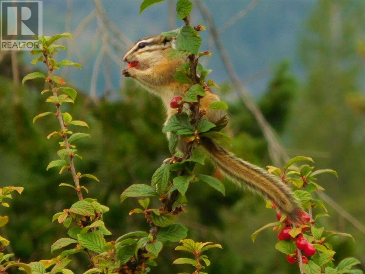 6074 Bella Vista Boulevard, Fairmont Hot Springs, BC