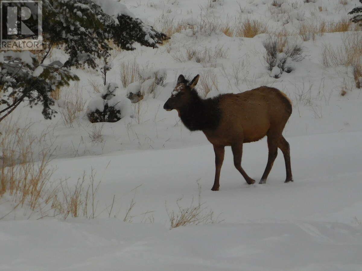 6074 Bella Vista Boulevard, Fairmont Hot Springs, BC