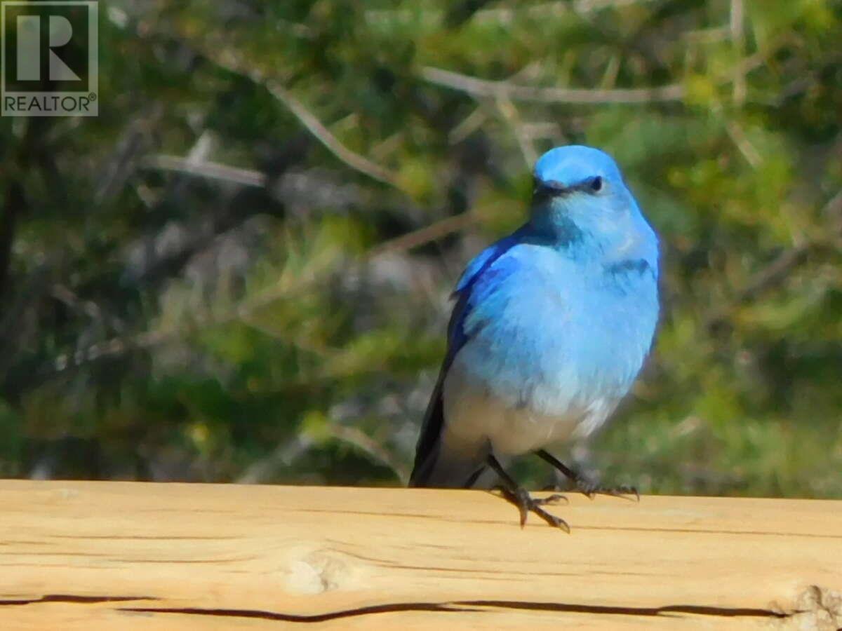 6074 Bella Vista Boulevard, Fairmont Hot Springs, BC