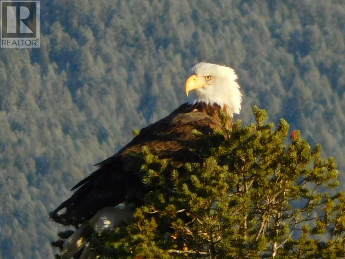 6074 Bella Vista Boulevard, Fairmont Hot Springs, BC