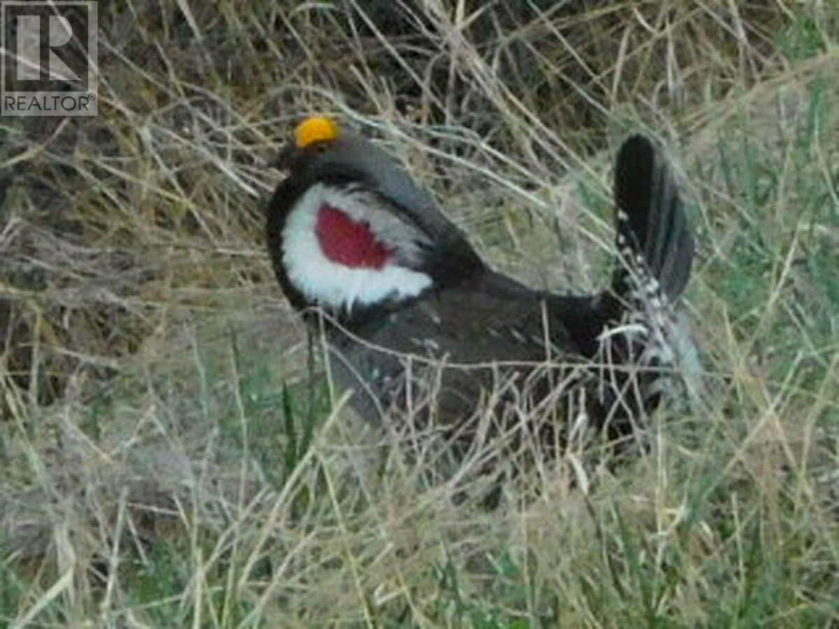 6074 Bella Vista Boulevard, Fairmont Hot Springs, BC