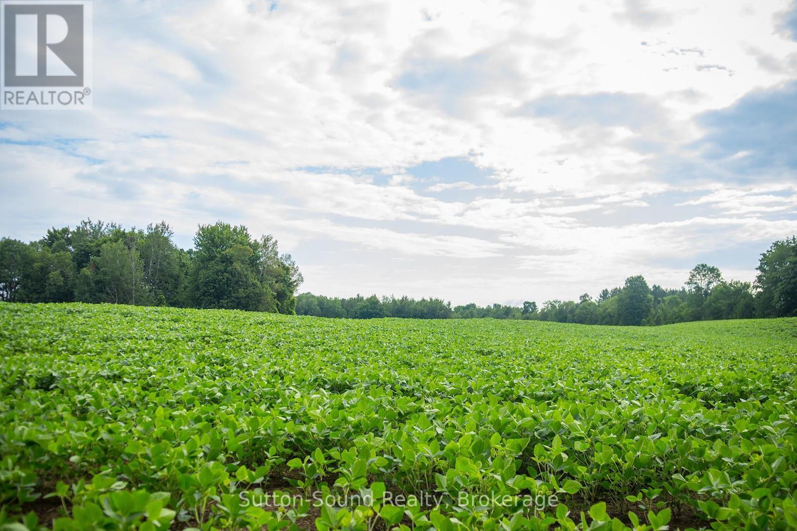 Pl11-12 10 Side Road, Chatsworth, ON