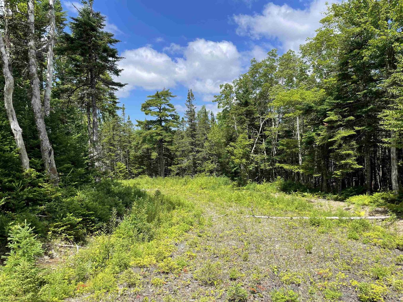 Lot 2 Westside Loch Lomond Road, Loch Lomond, NS