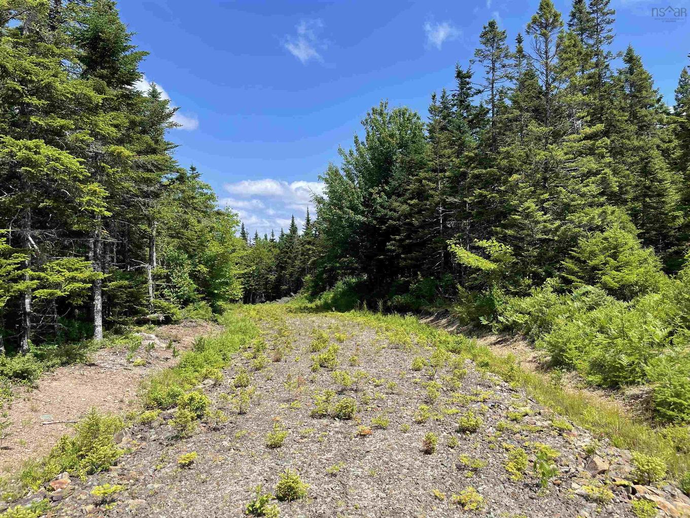 Lot 2 Westside Loch Lomond Road, Loch Lomond, NS