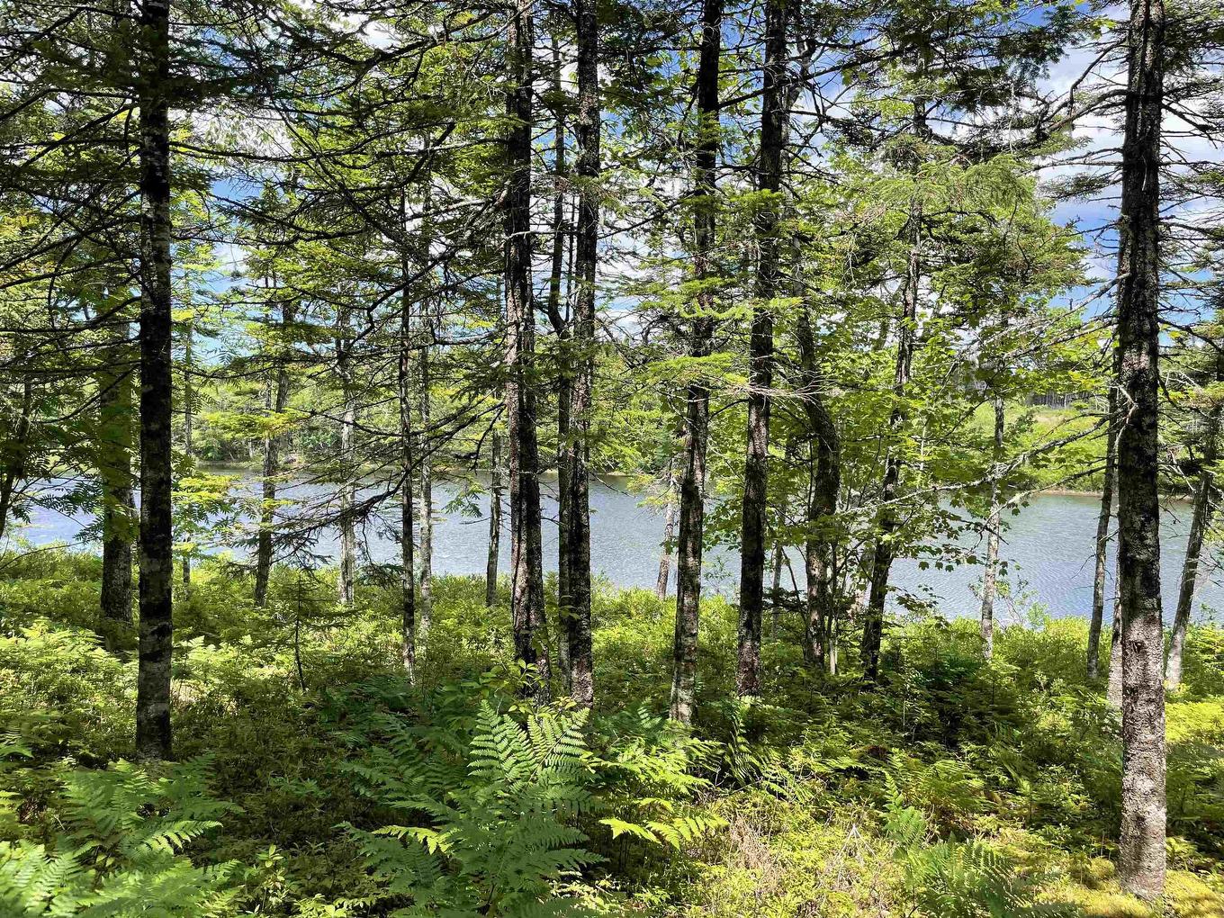 Lot 2 Westside Loch Lomond Road, Loch Lomond, NS