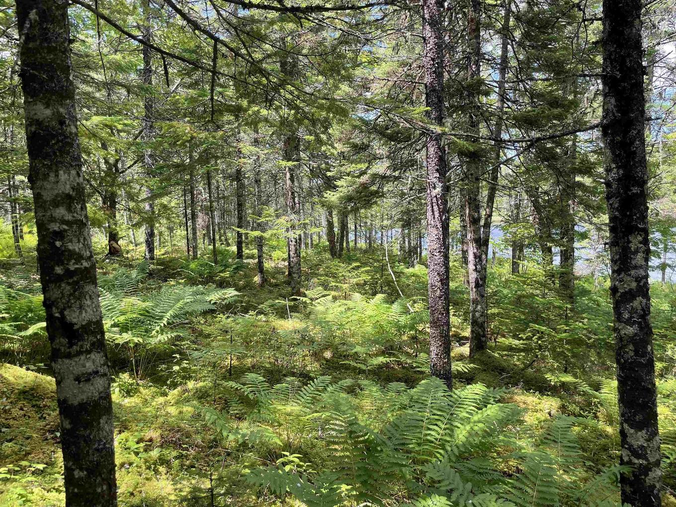 Lot 2 Westside Loch Lomond Road, Loch Lomond, NS