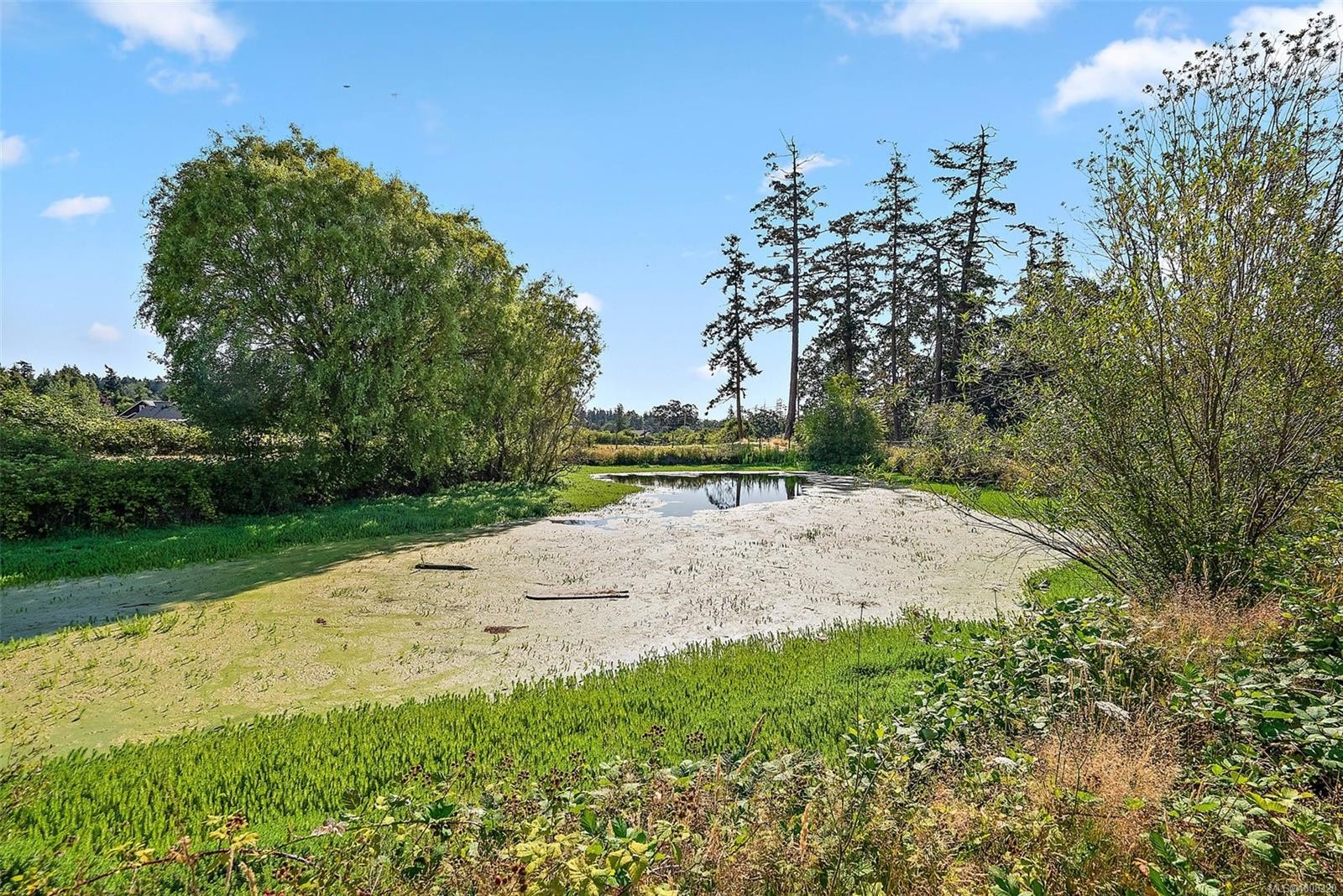 10650 West Saanich Rd, North Saanich, BC