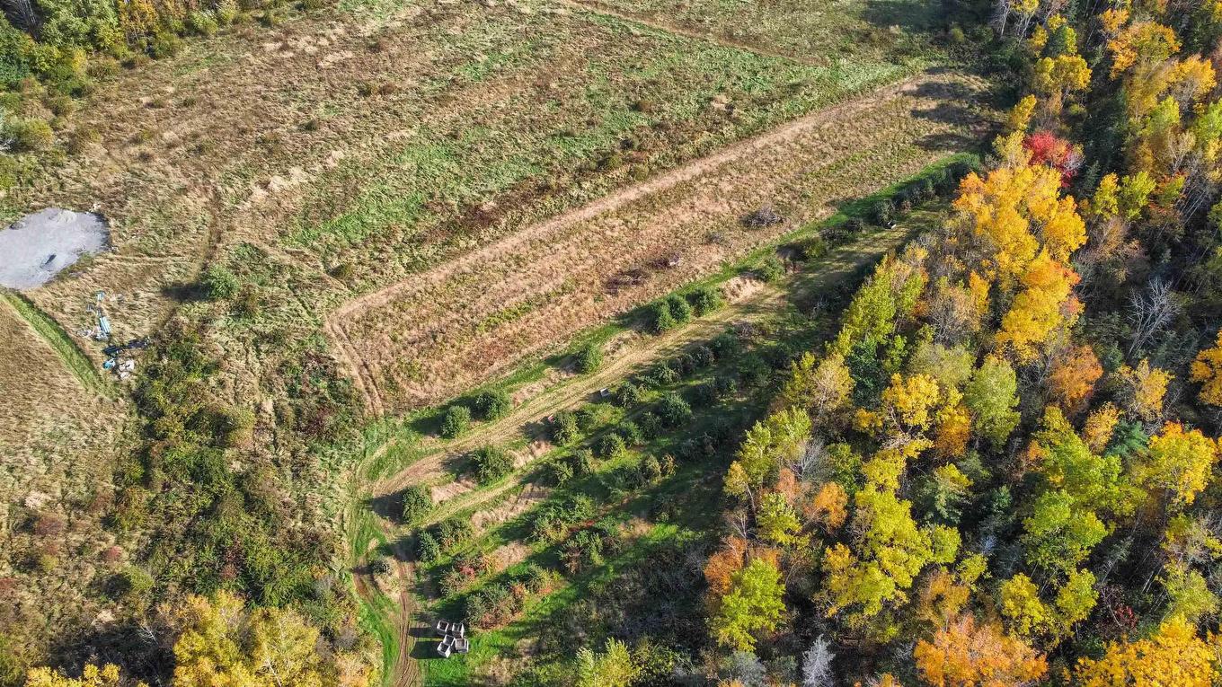 Lot No 101 Highway, Greenwich, NS