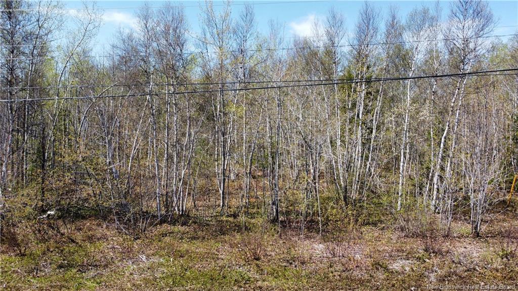 Lot 1 O'Keefe Rd, Miramichi, NB