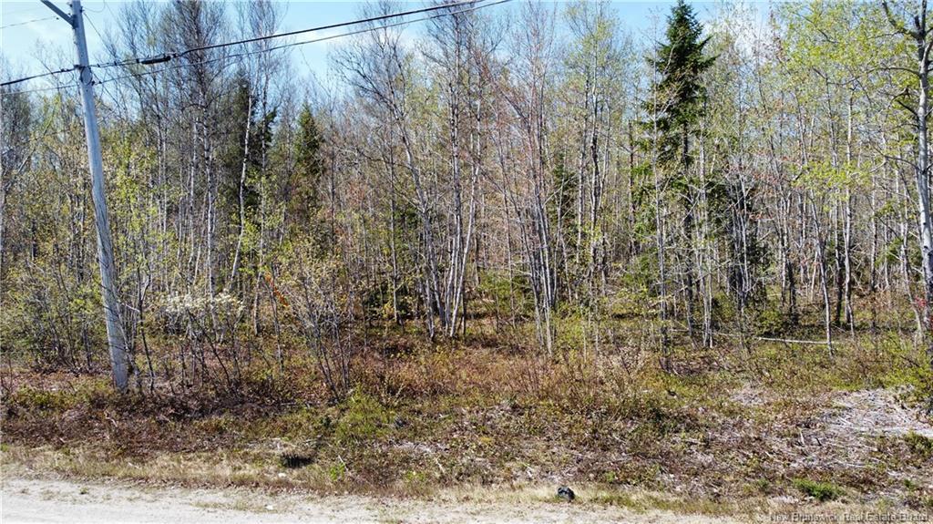 Lot 1 O'Keefe Rd, Miramichi, NB