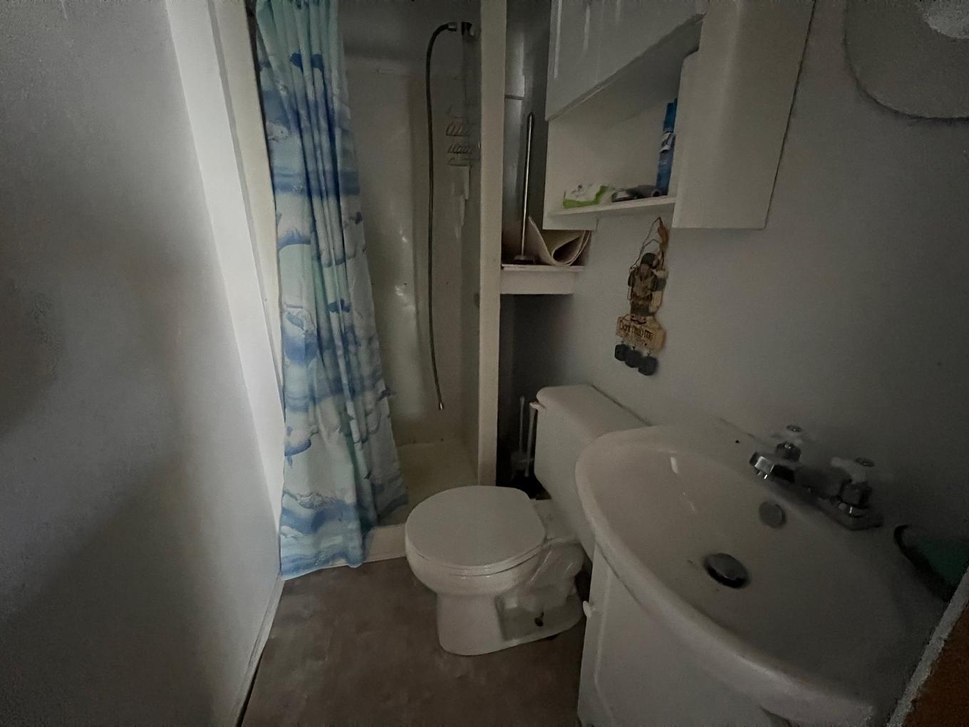 Bathroom - 871 Ch. Du Pin-Rouge, Laverlochère-Angliers, QC - Indoor Photo Showing Bathroom