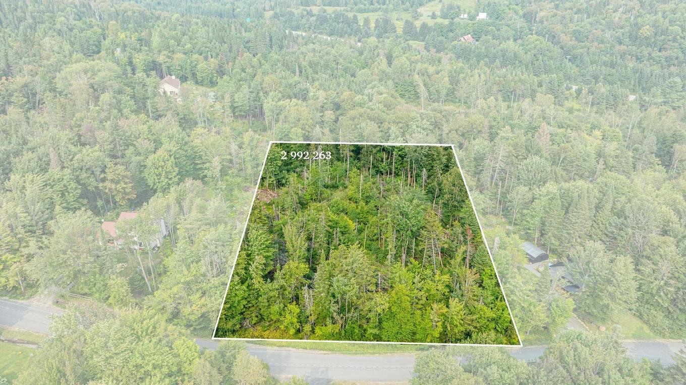 Land/Lot - Rue Ovide, Val-David, QC