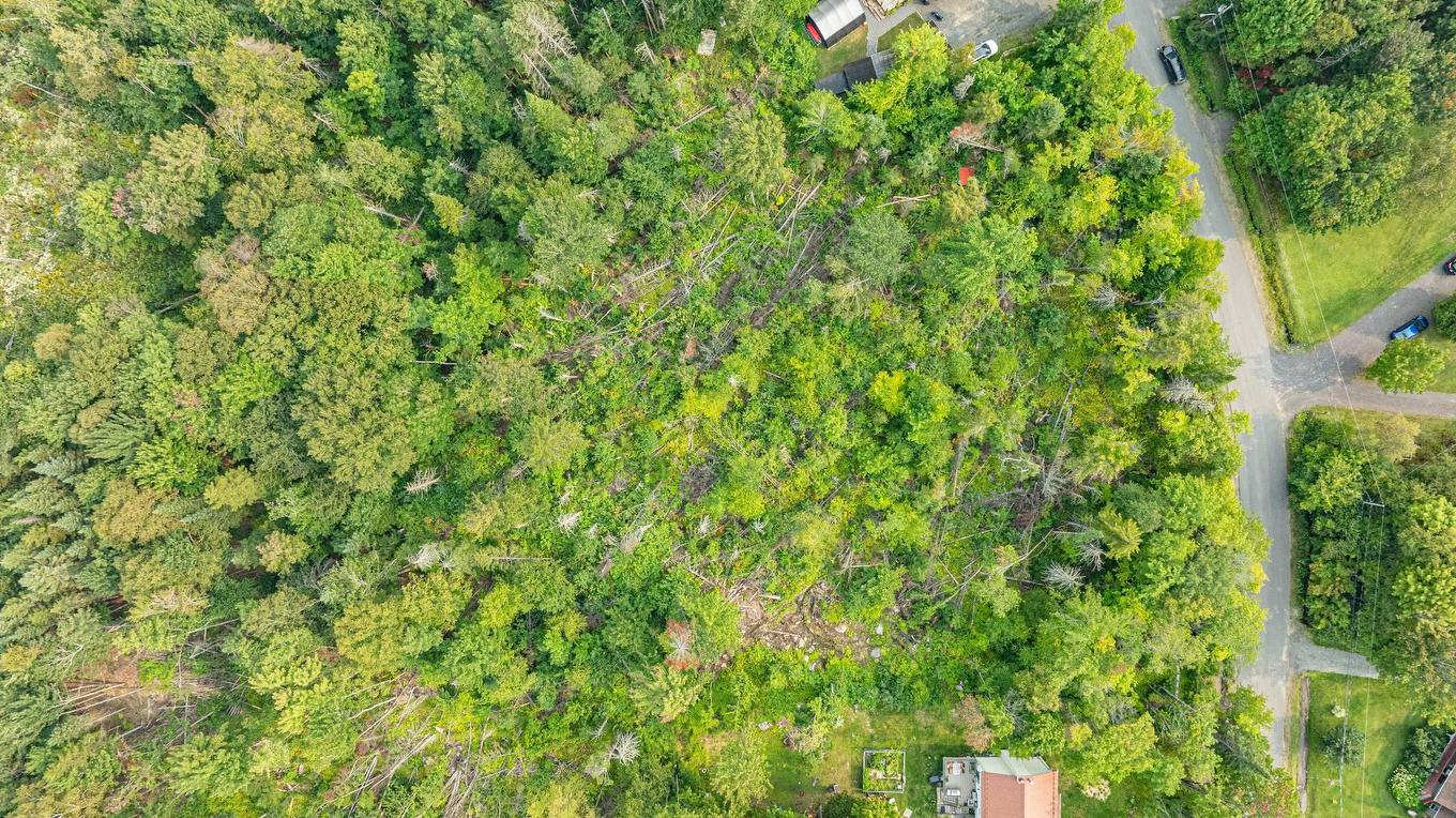 Land/Lot - Rue Ovide, Val-David, QC