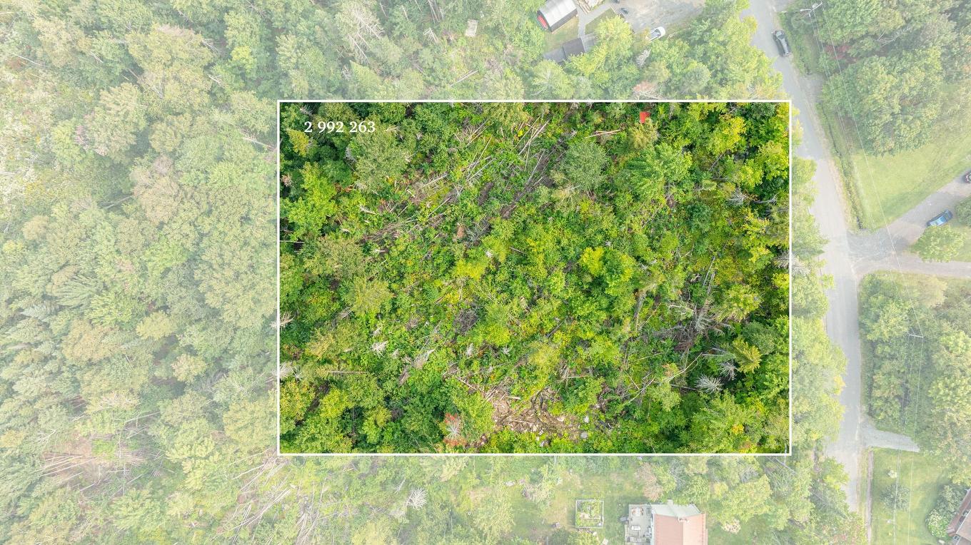 Land/Lot - Rue Ovide, Val-David, QC