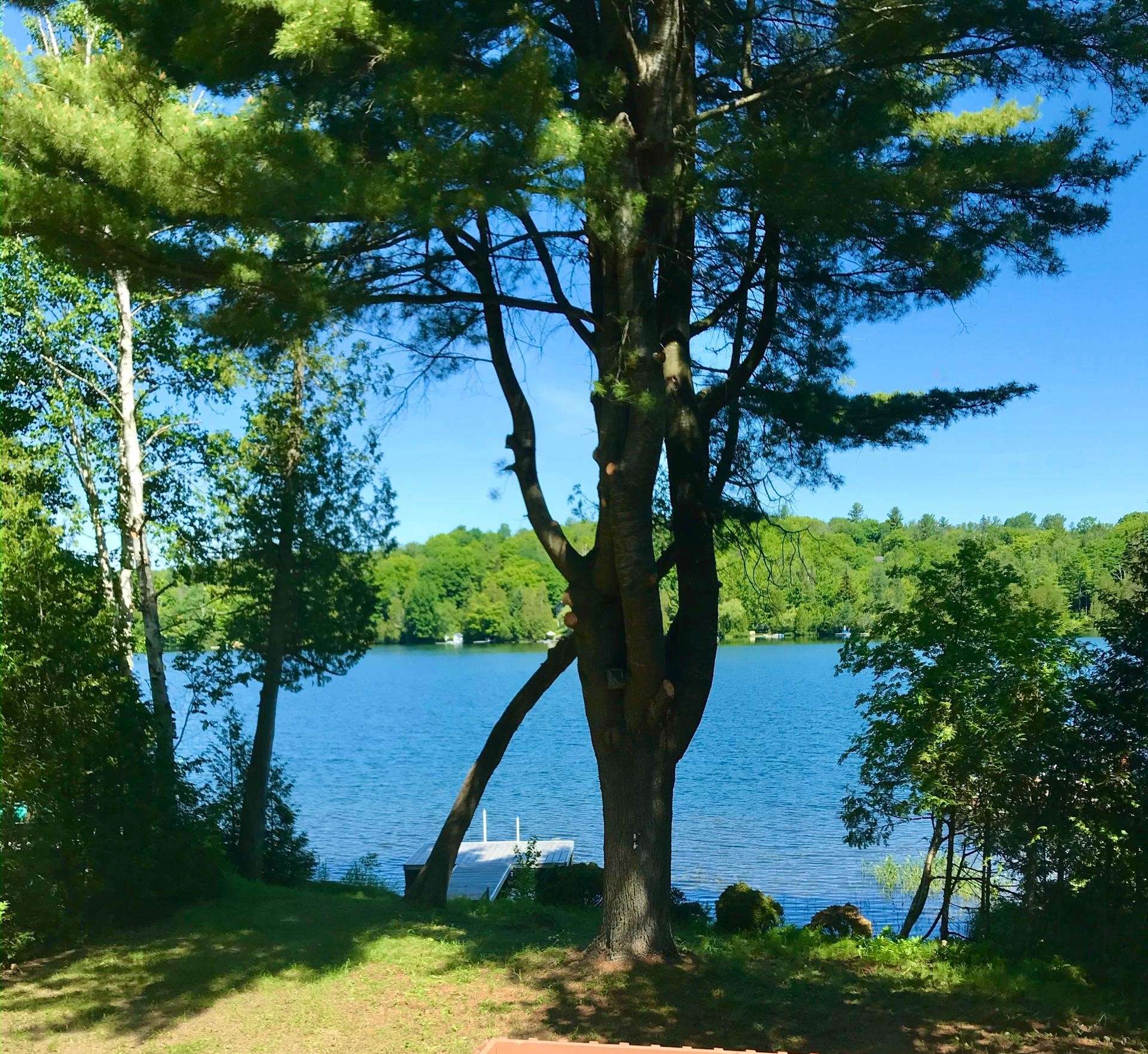 Accès au plan d'eau - 247 Ch. Des Cèdres, Sainte-Anne-Des-Lacs, QC - Outdoor With Body Of Water With View