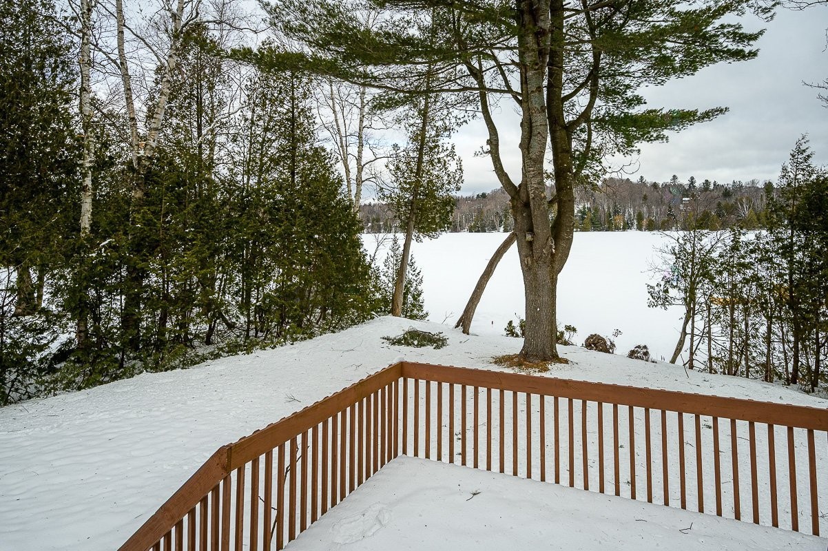 Vue - 247 Ch. Des Cèdres, Sainte-Anne-Des-Lacs, QC - Outdoor