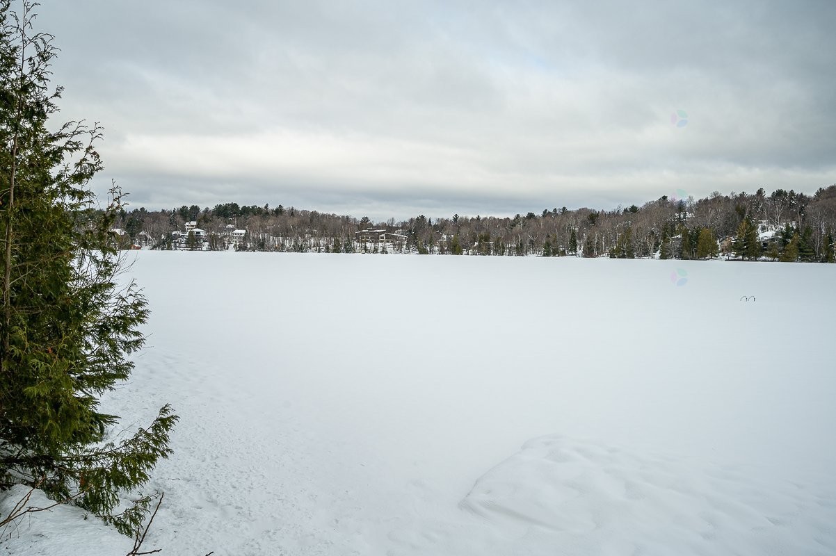Vue sur l'eau - 247 Ch. Des Cèdres, Sainte-Anne-Des-Lacs, QC - Outdoor With View