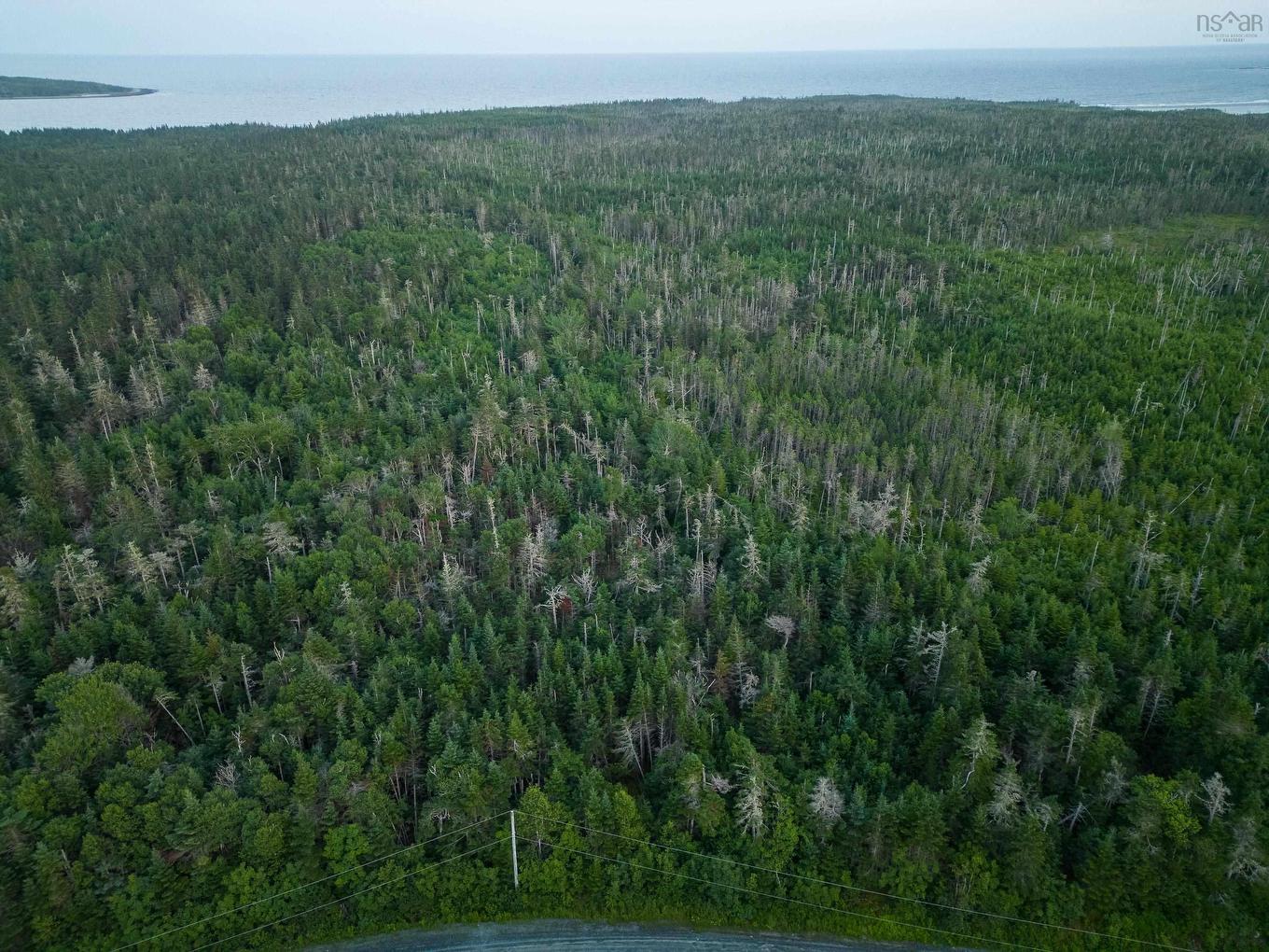 Lot 4 Conrod Beach Road, Lower East Chezzetcook, NS