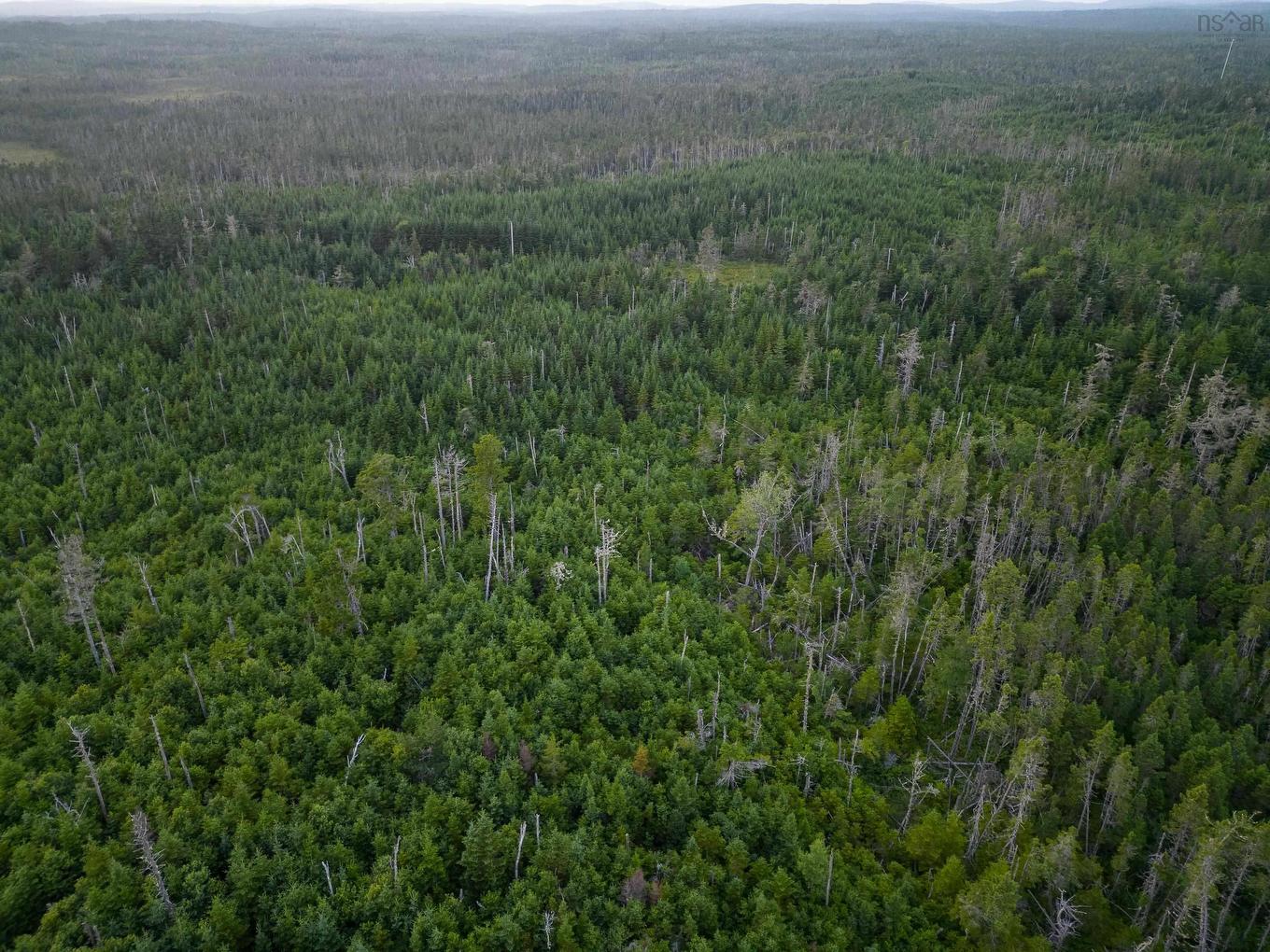 Lot 6 Conrod Beach Road, Lower East Chezzetcook, NS