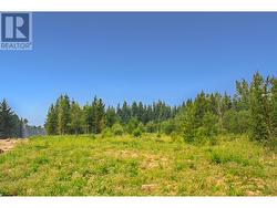 PROP LOT 2 BROWN ROAD Bridge Lake, BC V0K 1E0