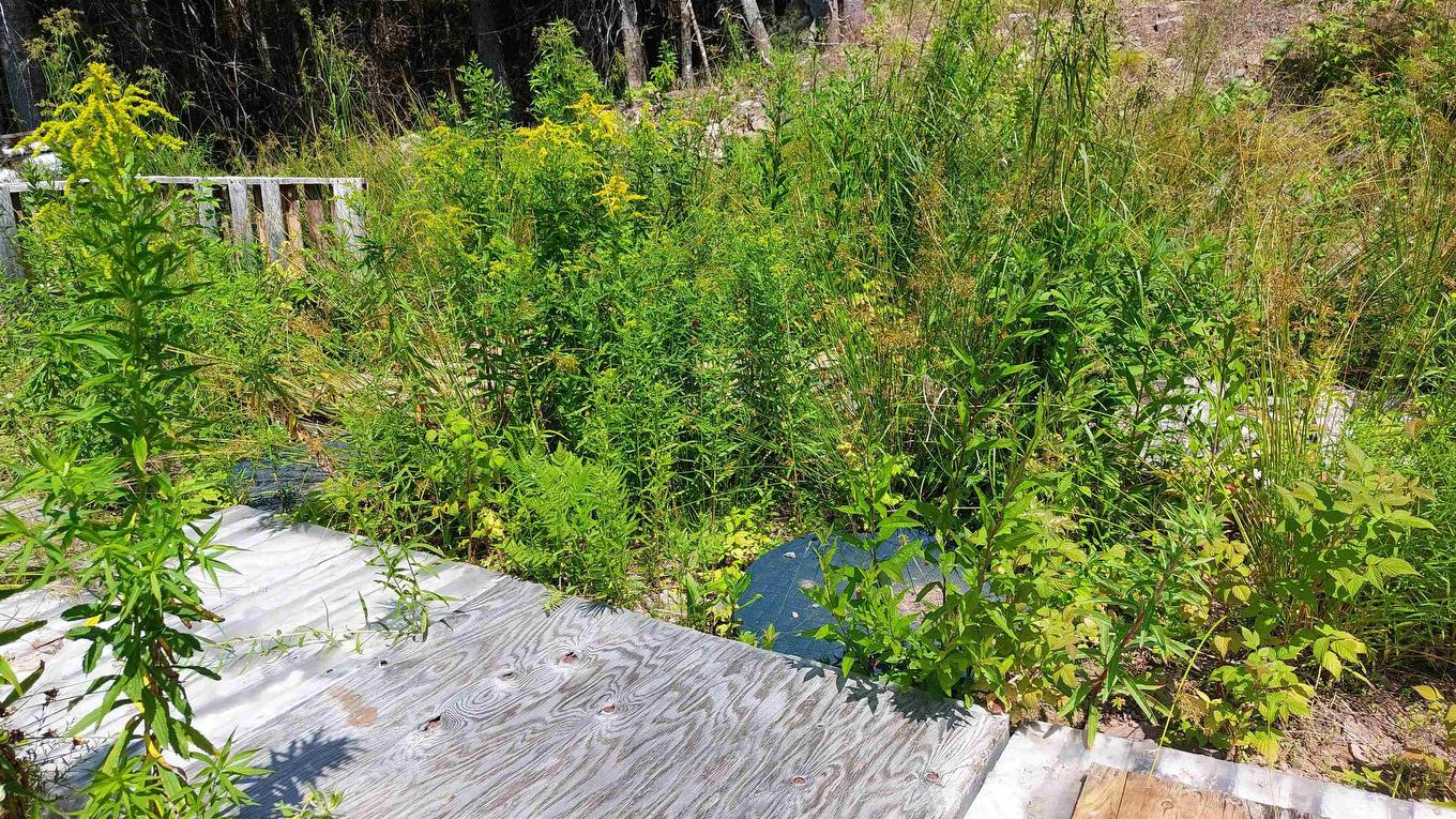 75 Evanston Rd, Cleveland, NS