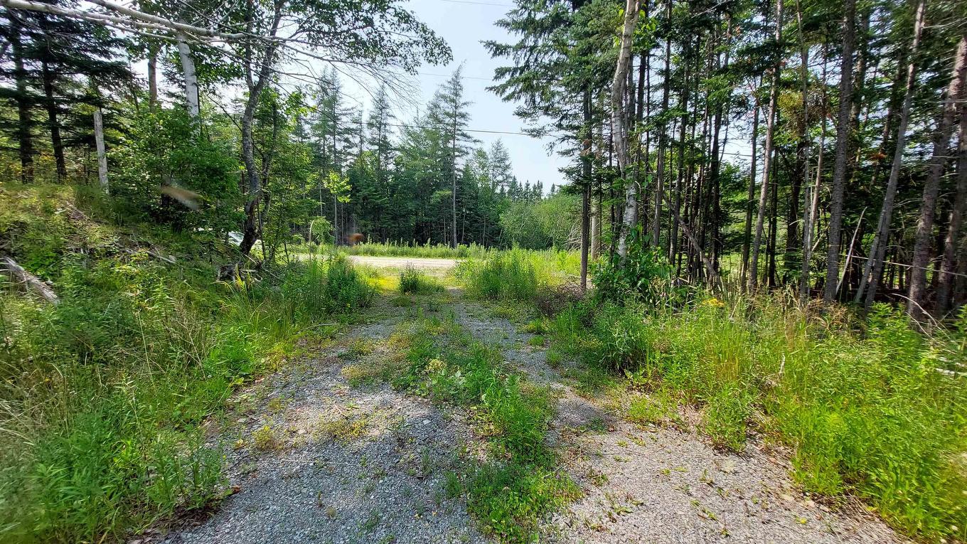 75 Evanston Rd, Cleveland, NS