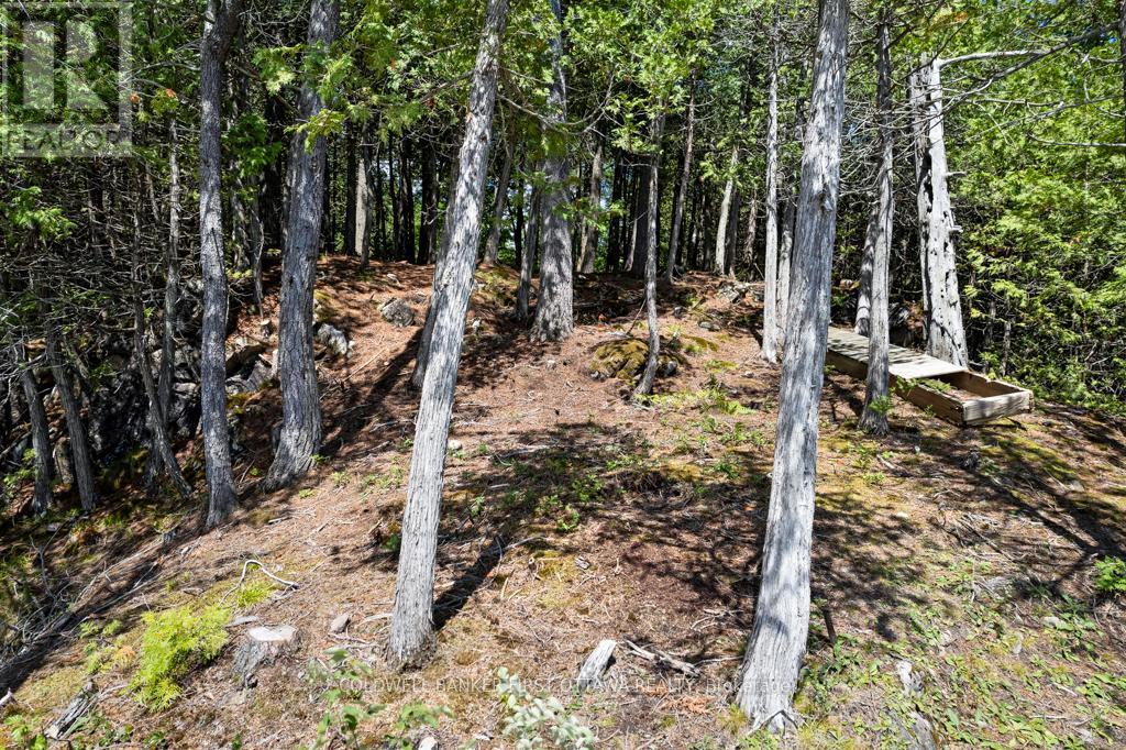 000 Palmerston Lake, Frontenac (Frontenac North), ON