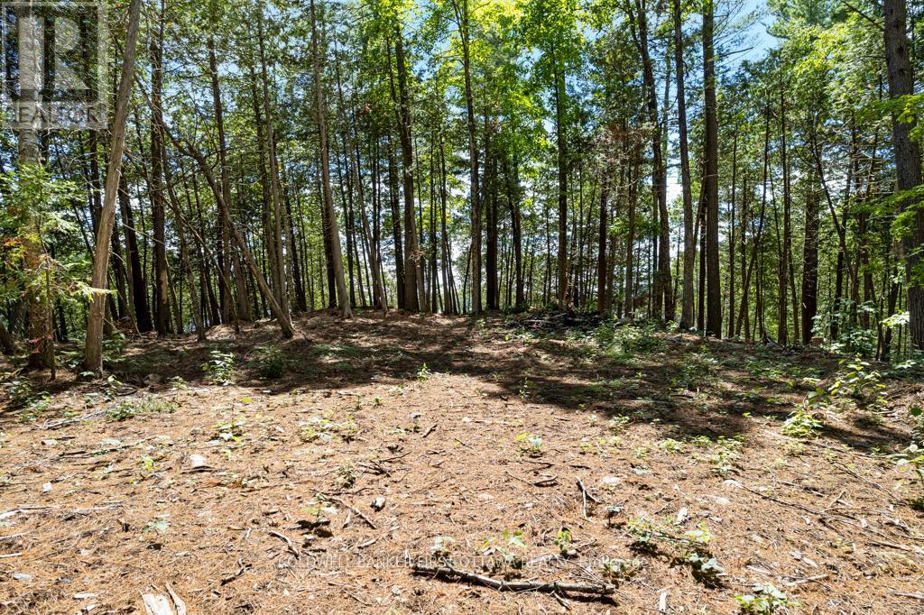 000 Palmerston Lake, Frontenac (Frontenac North), ON