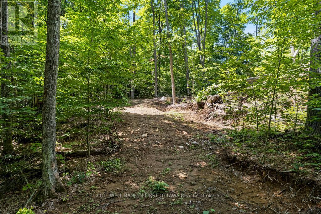 This trail gives access to nearby old logging road - 000 Palmerston Lake, Frontenac (Frontenac North), ON