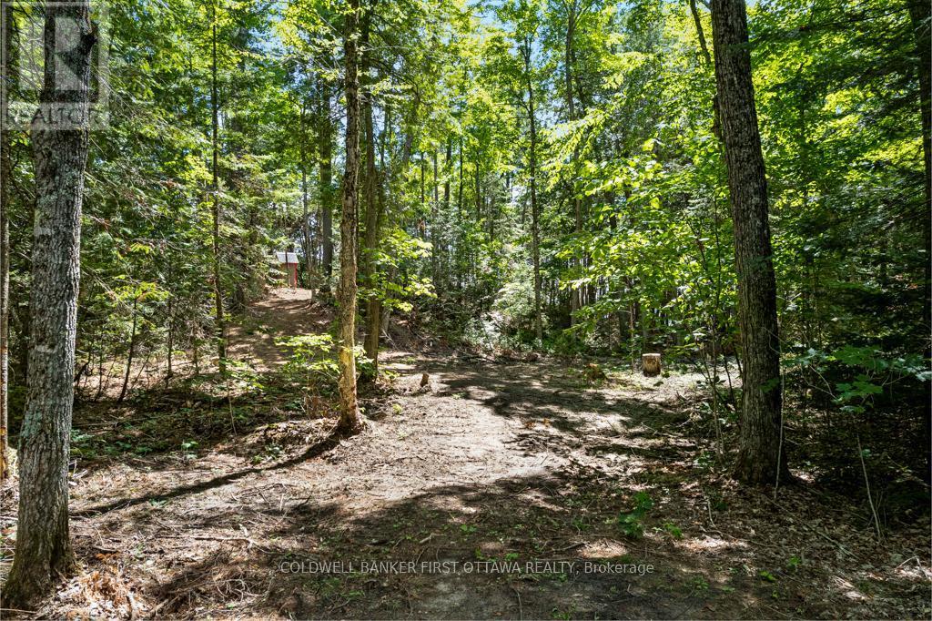 This trail gives access to nearby old logging road - 000 Palmerston Lake, Frontenac (Frontenac North), ON