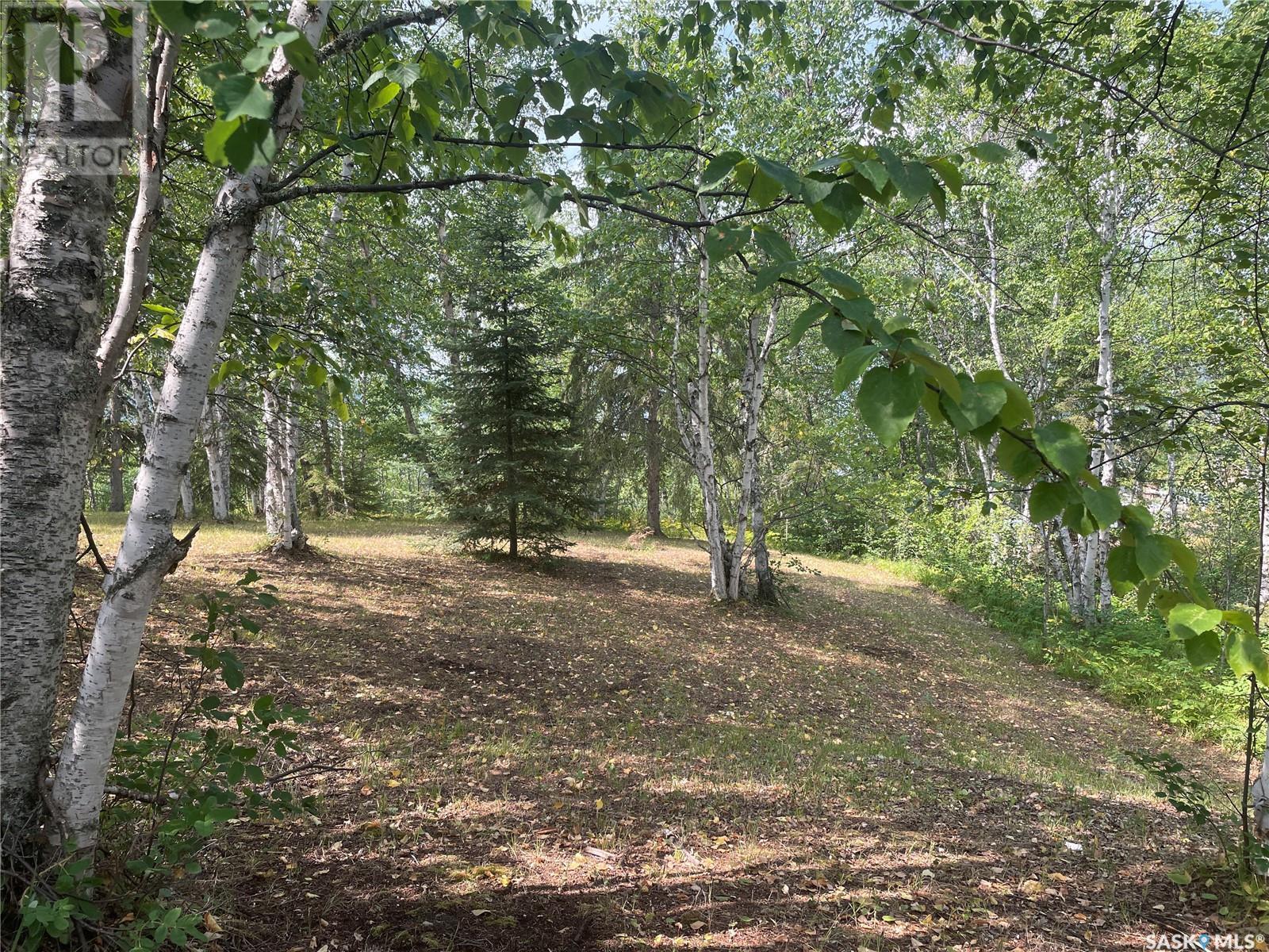 Andrews Way, Sunset Cove, Big River Rm No. 555, SK