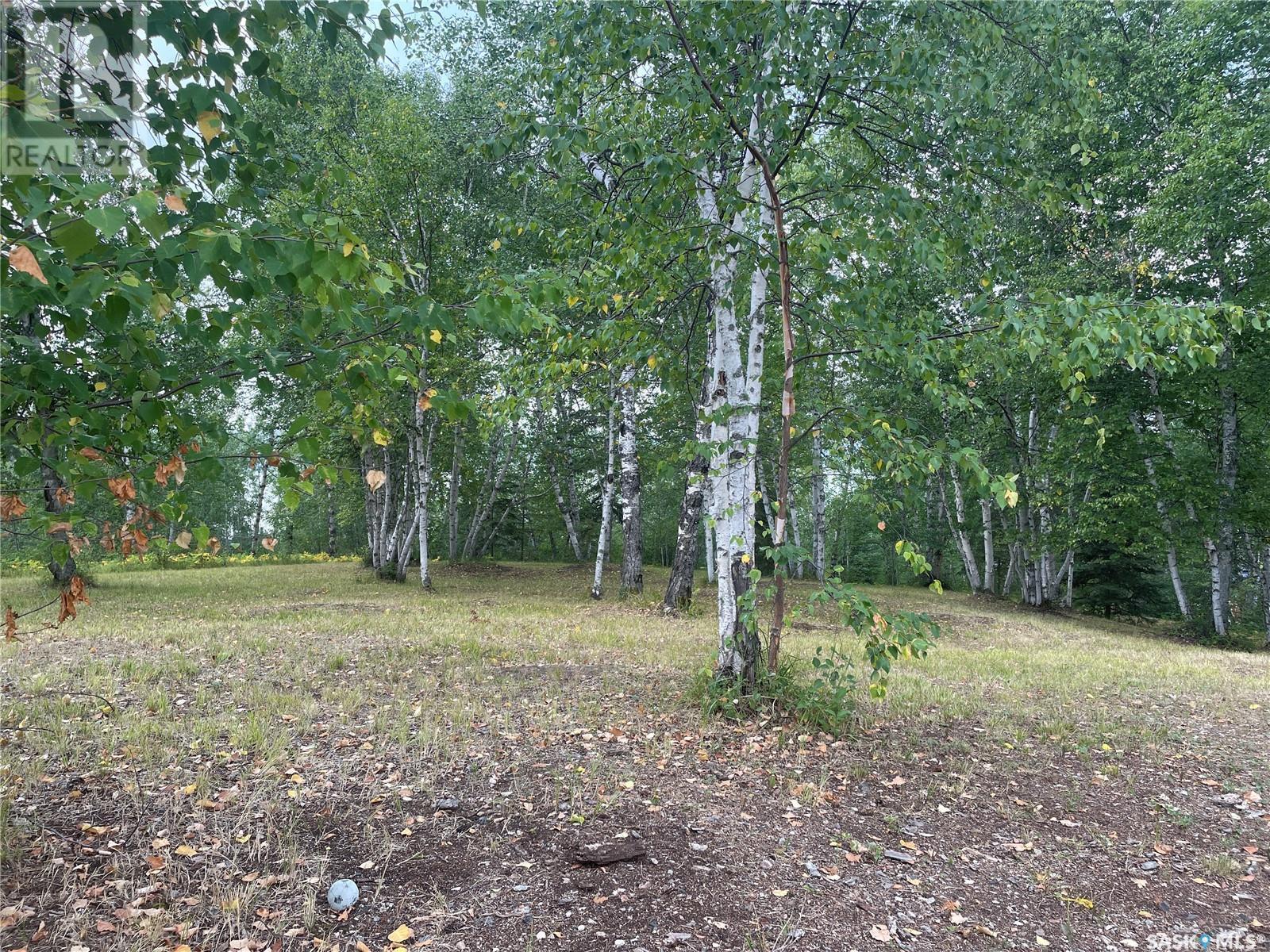 Andrews Way, Sunset Cove, Big River Rm No. 555, SK