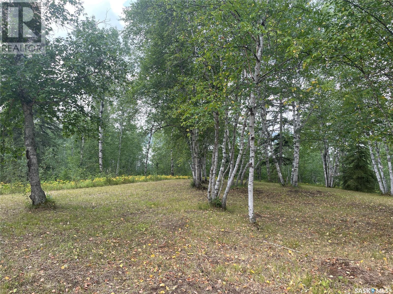 Andrews Way, Sunset Cove, Big River Rm No. 555, SK