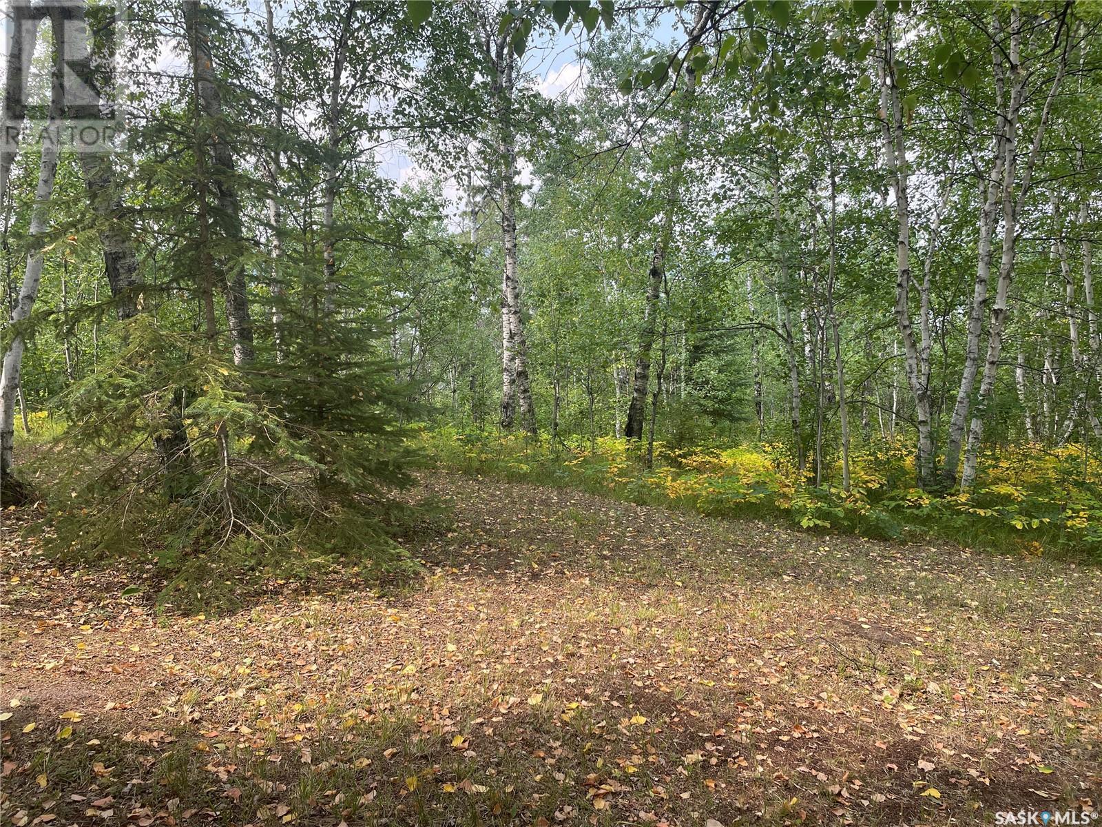 Andrews Way, Sunset Cove, Big River Rm No. 555, SK